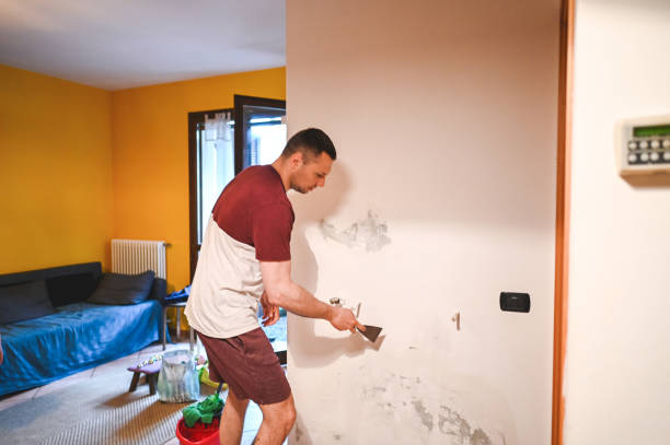 Best Crawl Space Mold Remediation in Clearwater, KS